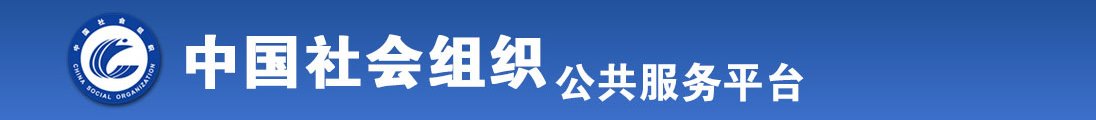 草骚逼视频全国社会组织信息查询